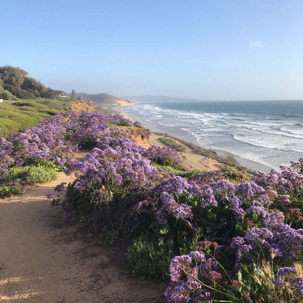 Meet your Posher, Chastity